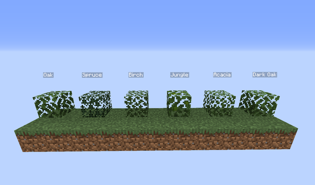 Leaf blocks in minecraft