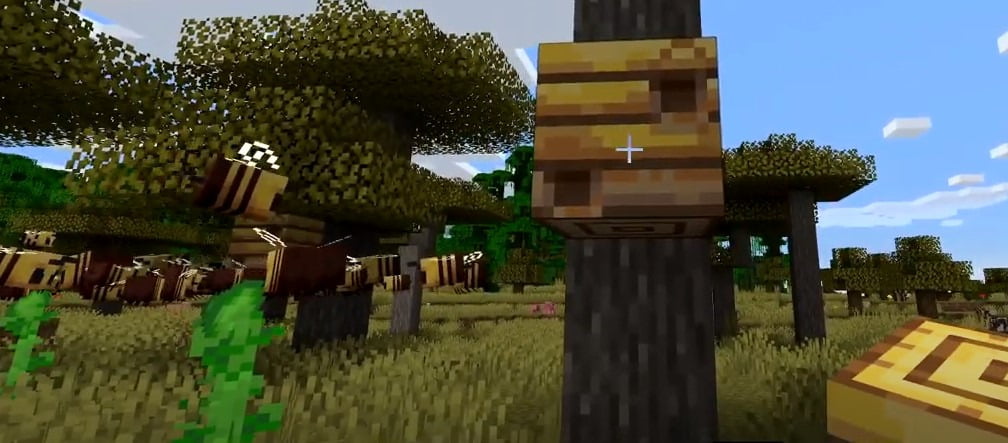 Honey farm in minecraft
