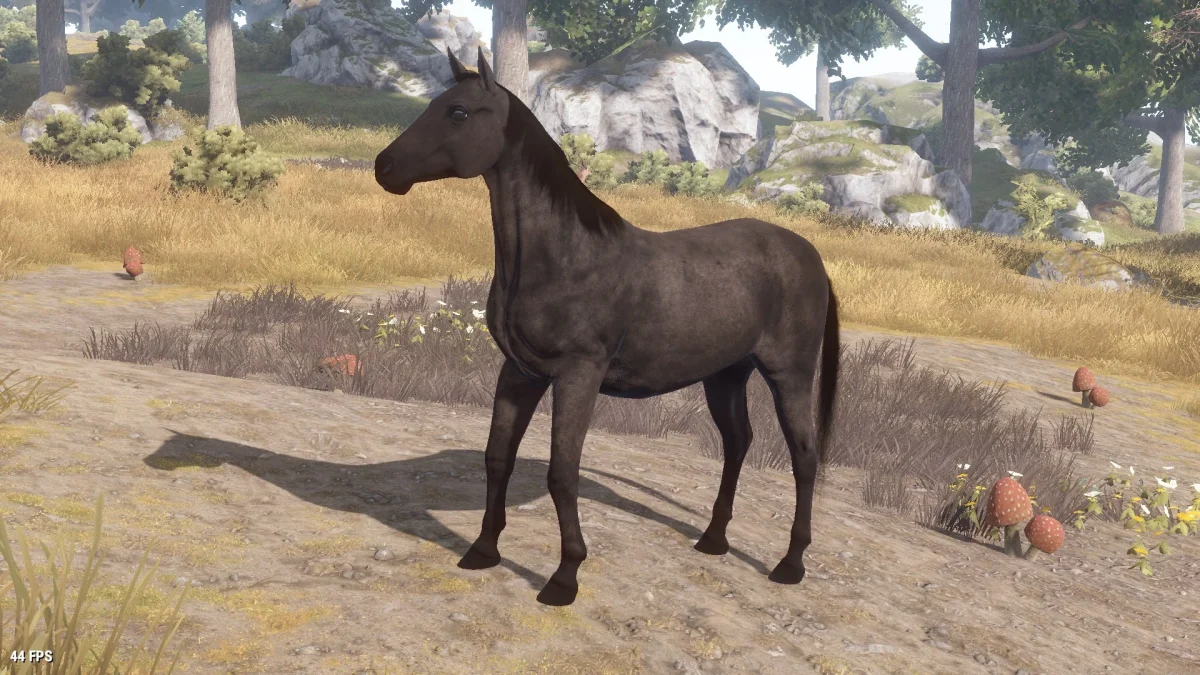 What is the Best Horse in Rust?