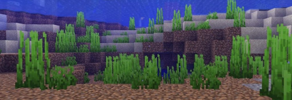 Seagrass underwater Minecraft