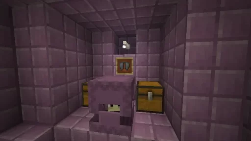 Elytra in Item Frame